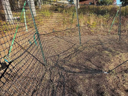 El sistema de trampas Pig Brig ha sido una auténtica revolución para nuestra empresa. Este diseño es increíblemente sencillo, pero efectivo y mucho más eficiente que las tradicionales trampas metálicas para corrales. En un solo día, coloqué tres trampas en tres propiedades distintas y capturé cinco grupos de jabalíes en una semana.